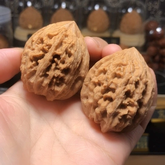 特价款：大沽石（强迫症勿拍）