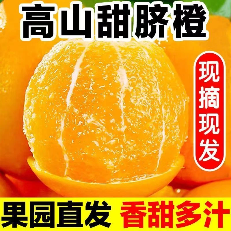 现摘重庆奉节脐橙早熟伦晚脐橙高山甜橙鲜橙孕妇新鲜水果
