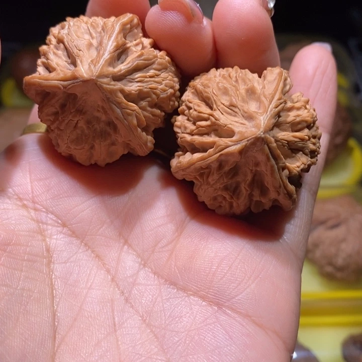 文山奔文山奔36尺寸的全品