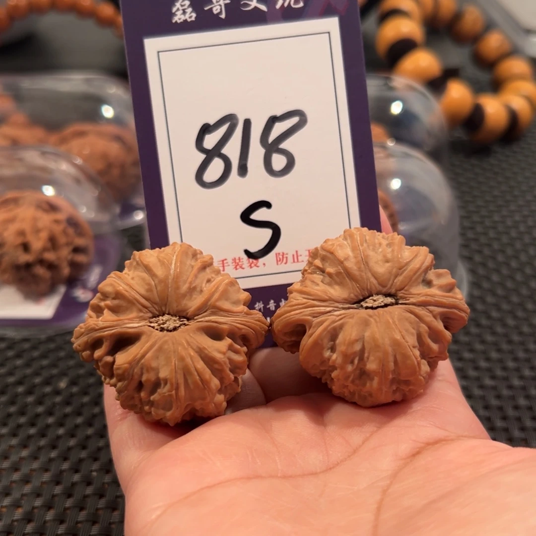 文玩核桃把件818号白狮子41