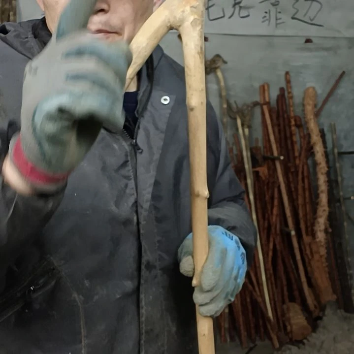 稳定木自***柴贵州檬子木   铁马鞭   根艺  半成品