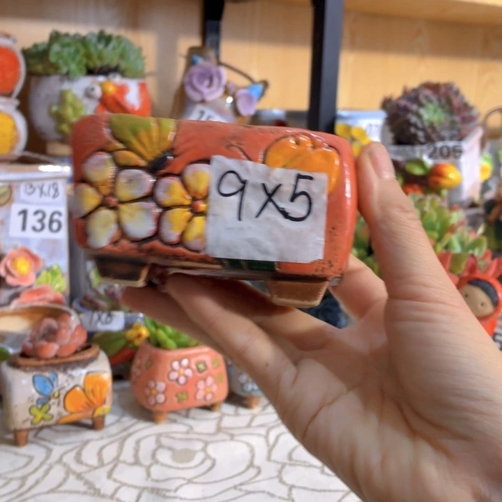 多肉花盆满15包邮