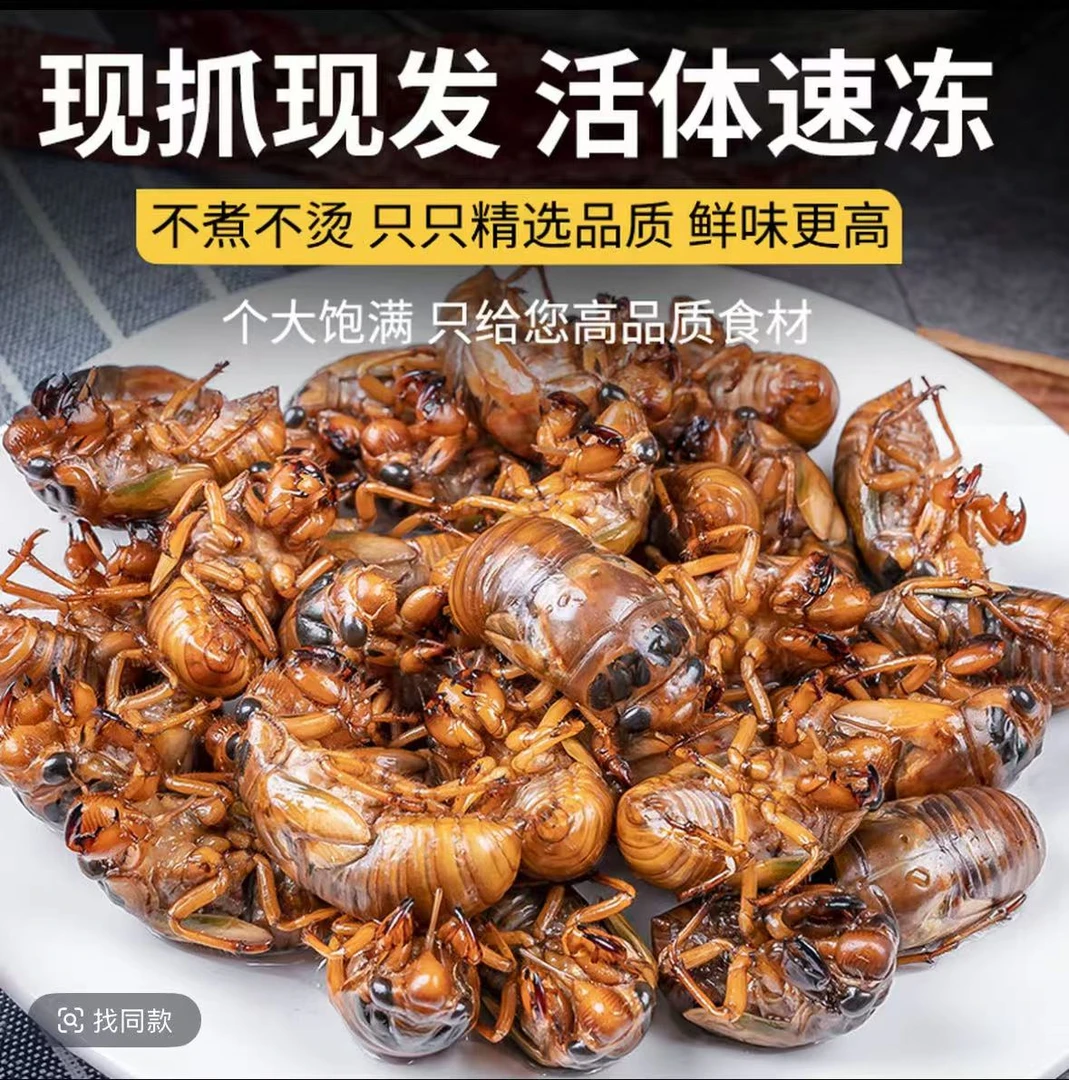 2025年新鲜超大知了龟爬叉猴金顺丰包邮农村树林活体速冻非油炸