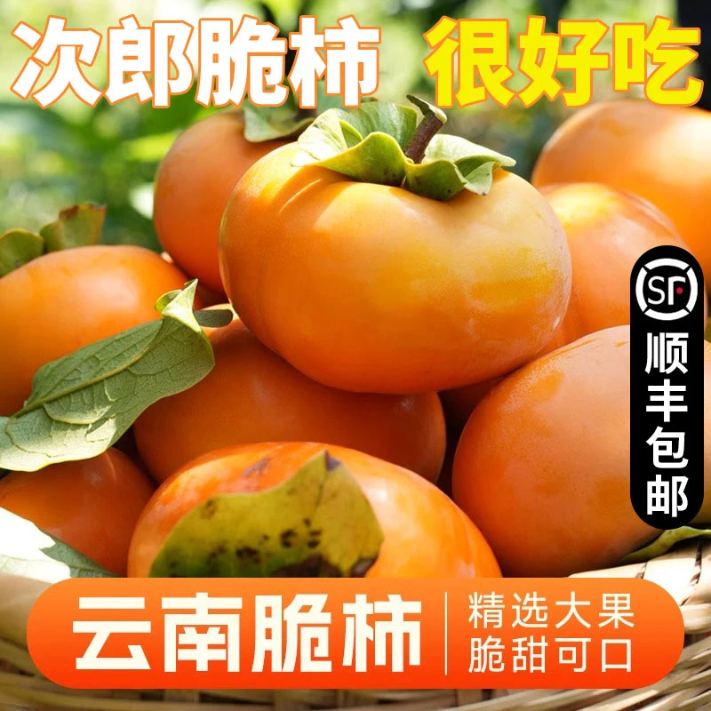 保山脆柿礼盒12颗装顺丰包邮正宗云南隆阳脆甜柿子精品商超果不涩