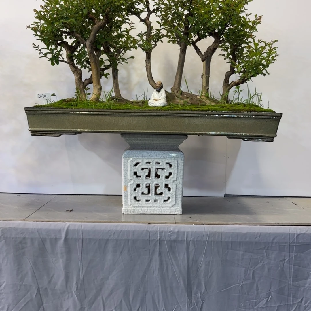 完全开放永****恒1111111111