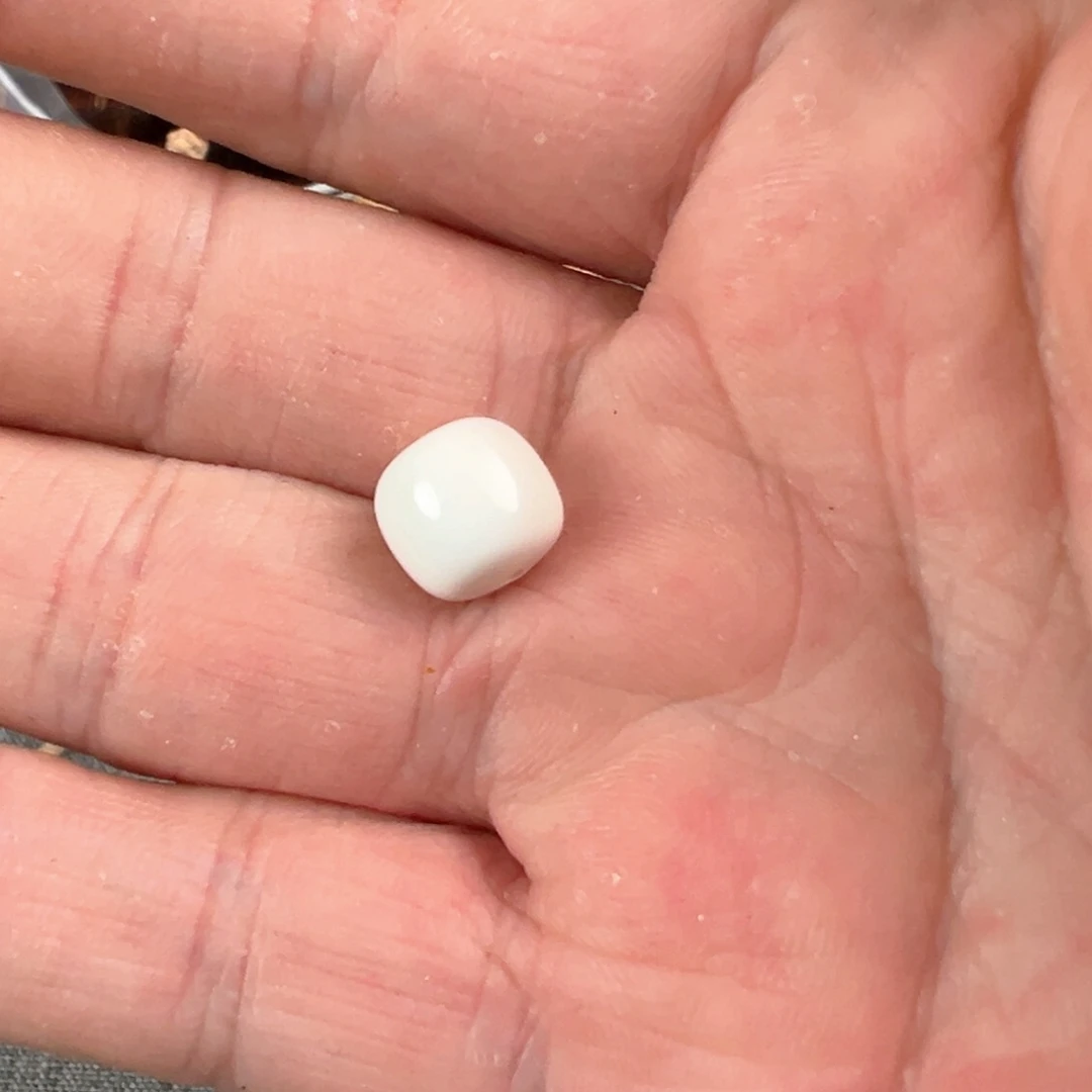 金刚菩提吊坠猛子小珠子10