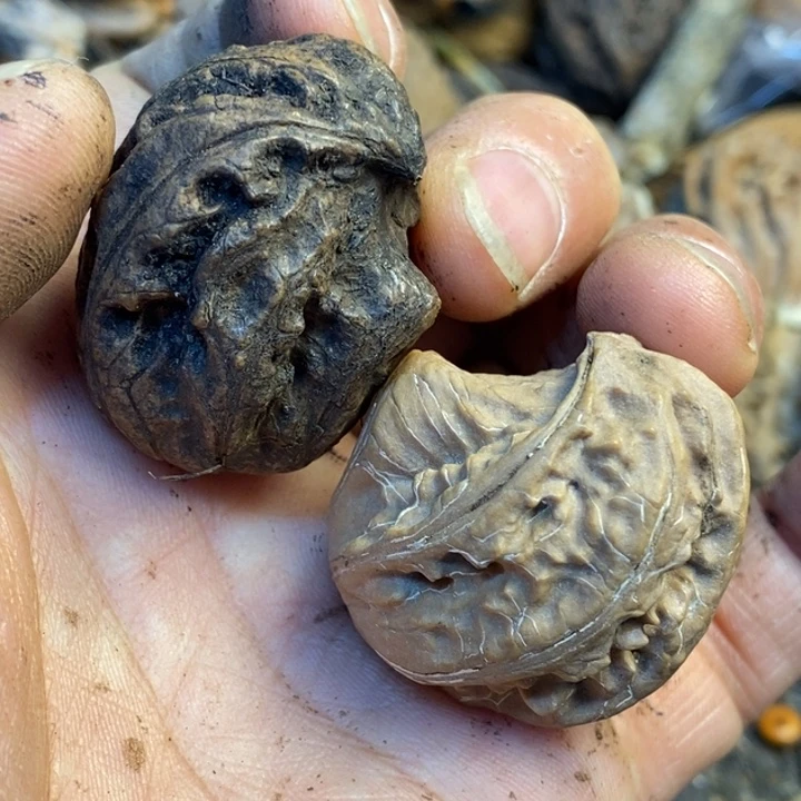 吊坠文玩核桃娜姐84