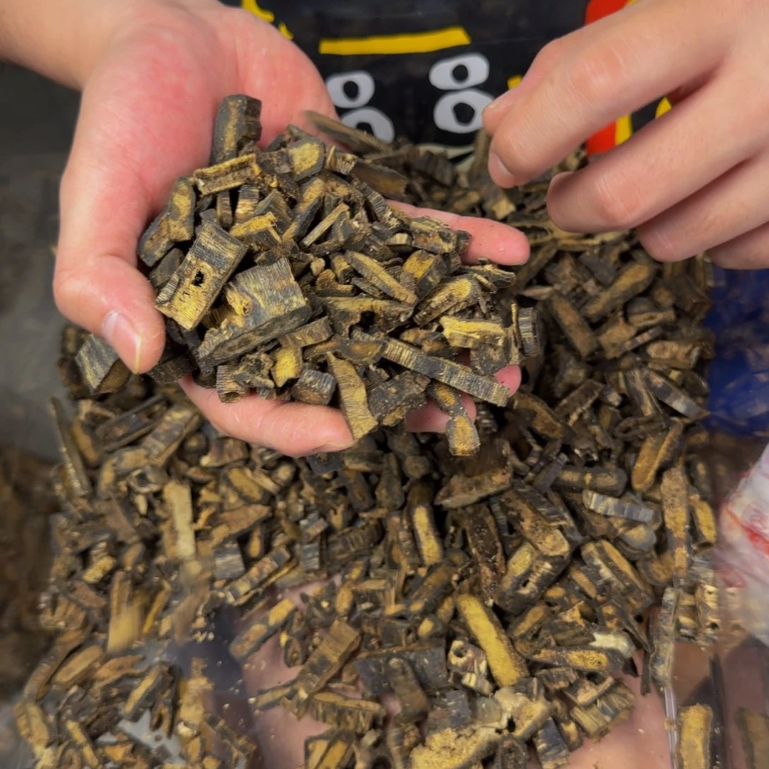 沉香沉香碎屑白露99沉熏香料100克