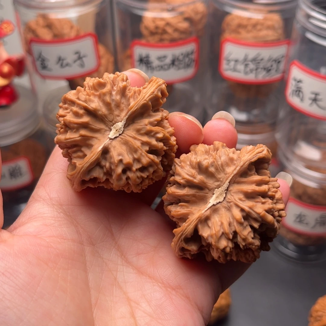 肉***枣文玩核桃把件47.5满天星