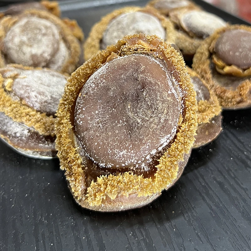 野生网鲍 野生鲍鱼干货 大头数鲍香味浓郁