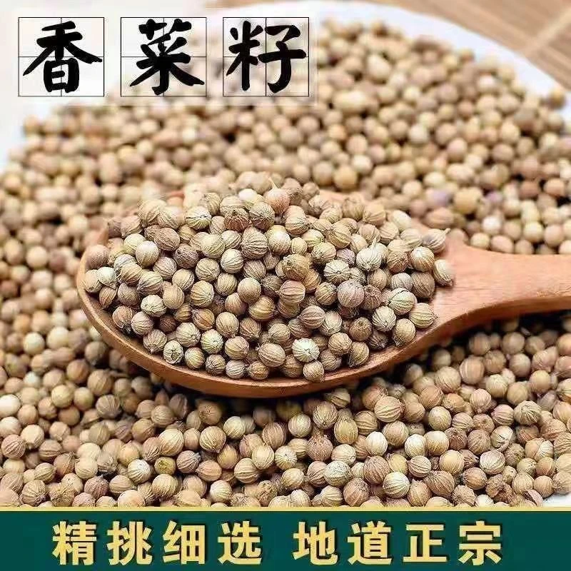 香菜种子大全农家盆栽苗大叶芫荽种籽四季食用香菜籽蔬菜种籽种孑