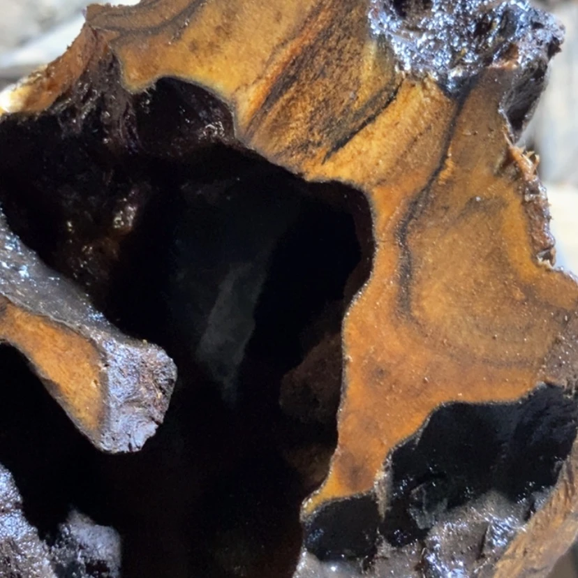 【闪购商品】把件贡木头****圈私人订制