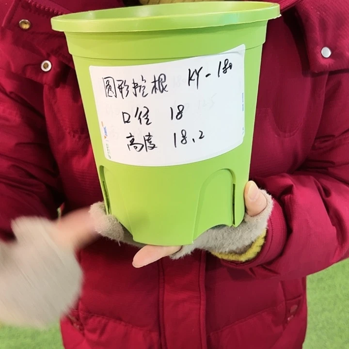 正品圆控口18高18果绿色无托8只