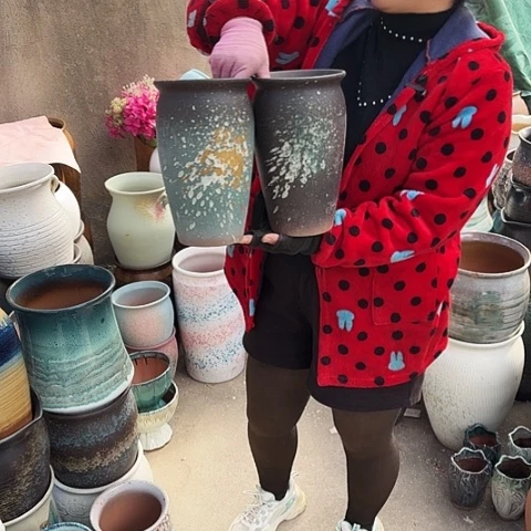 口15高25 个盆。 盆子