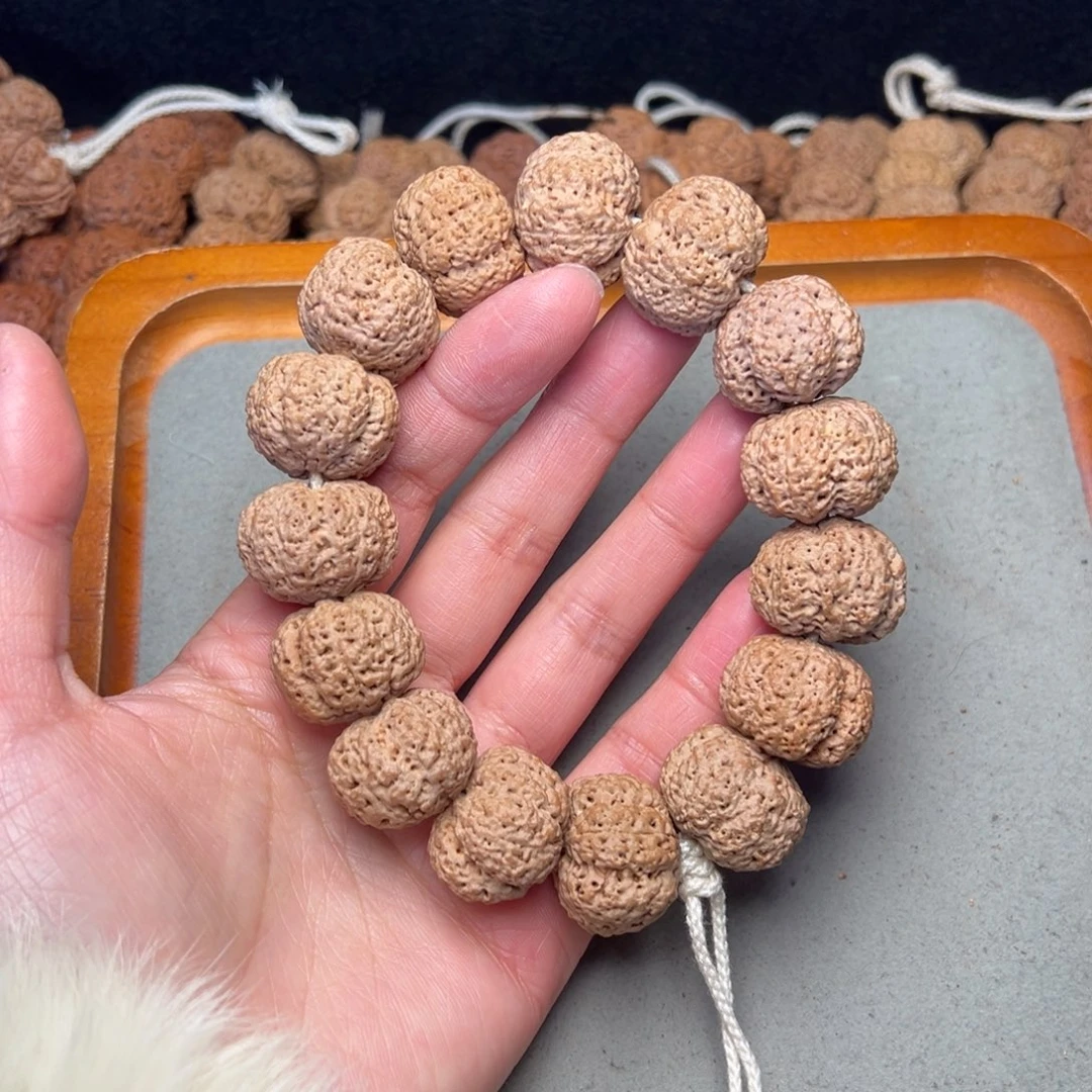 惜****菩提32号金刚菩提熊猫菠萝蜜23