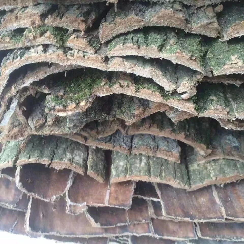 贵州特产杜仲贵州三宝500克干货包邮