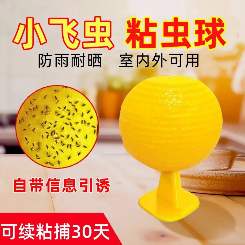 空消粘虫球果蝇诱捕器室内除小飞虫厨房卫生间水果店粘虫球诱苍蝇