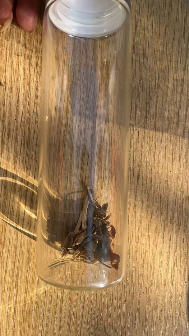 沉香碎屑方糖福利