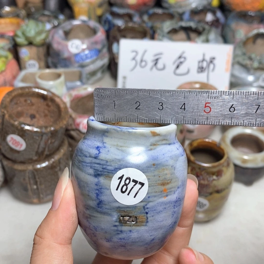 拍5送一个小礼物