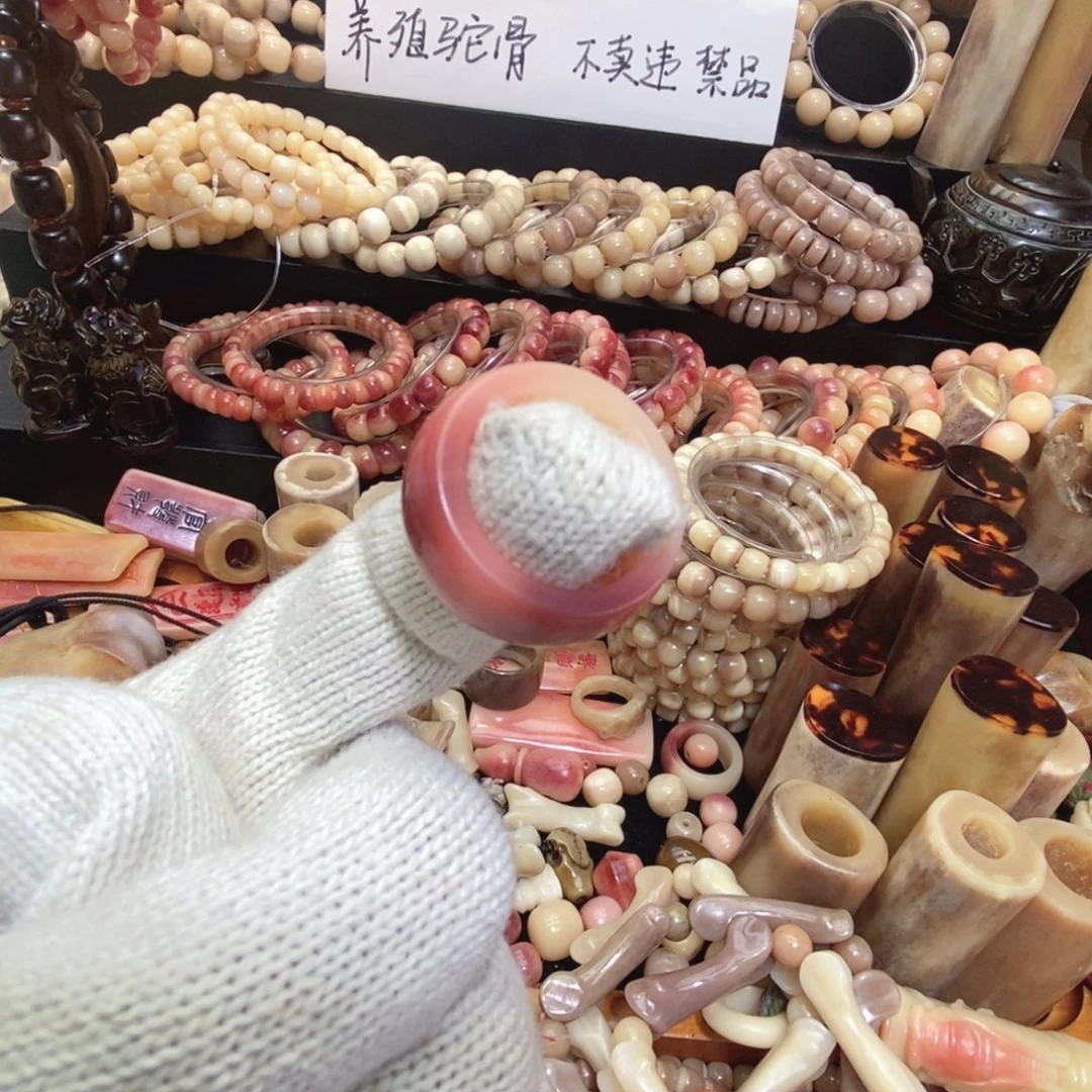 驼骨手串/手链戒指