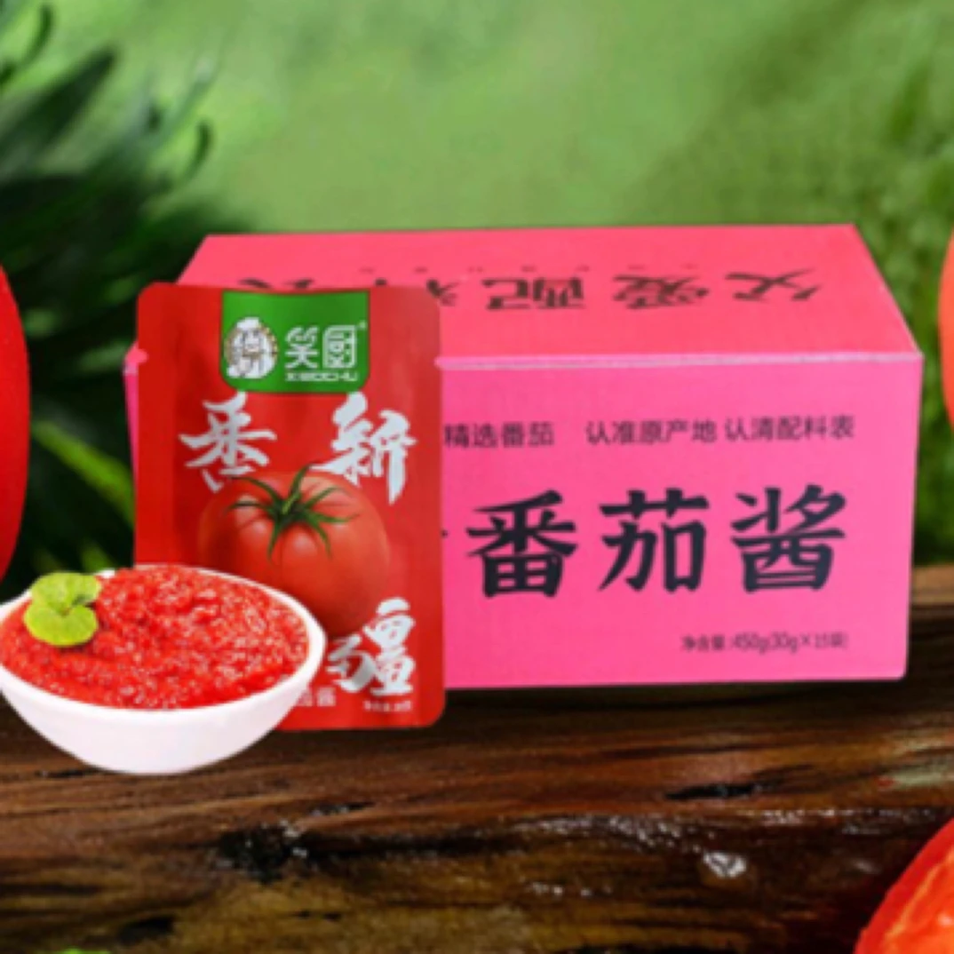 笑厨番茄酱450克厨房调料