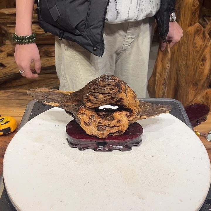 松木（琥珀木）ℳ****