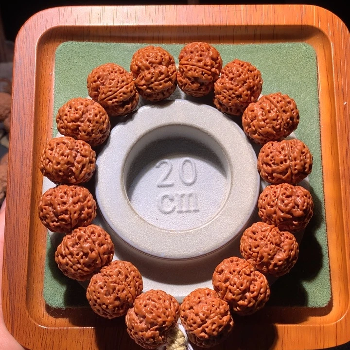 手串金刚菩提开播福利22+五星双龙