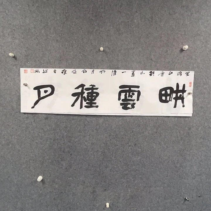 书法曹述林书法作品软片