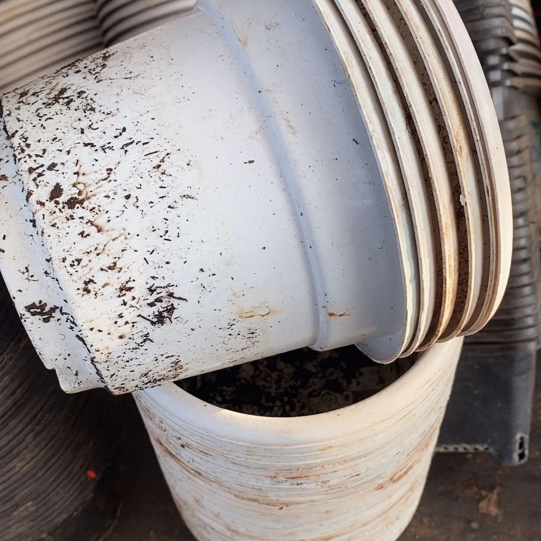 塑料旧16公分白圆盆30个