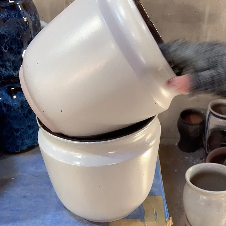 正品20/20两个处理