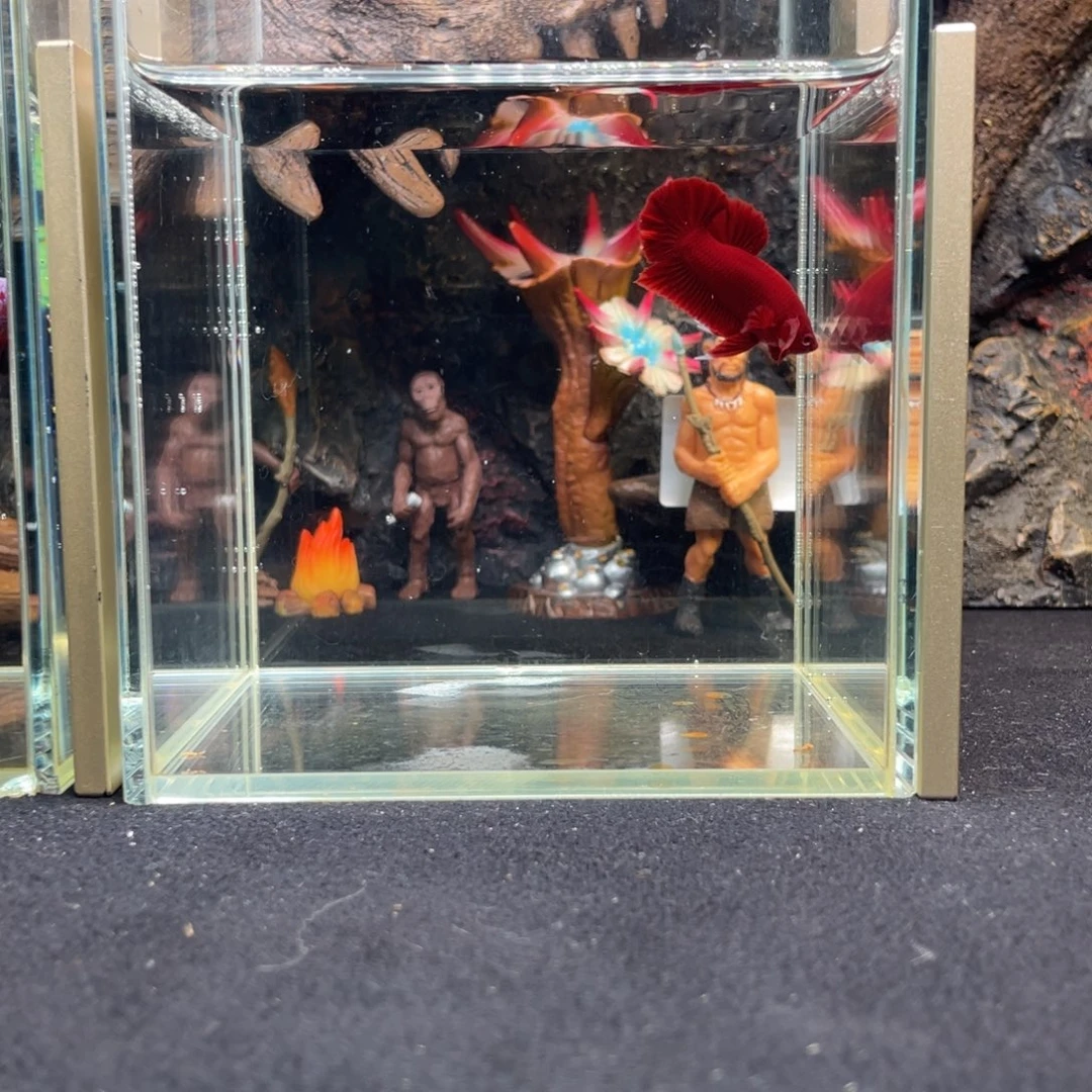 斗鱼十一月六日竞价