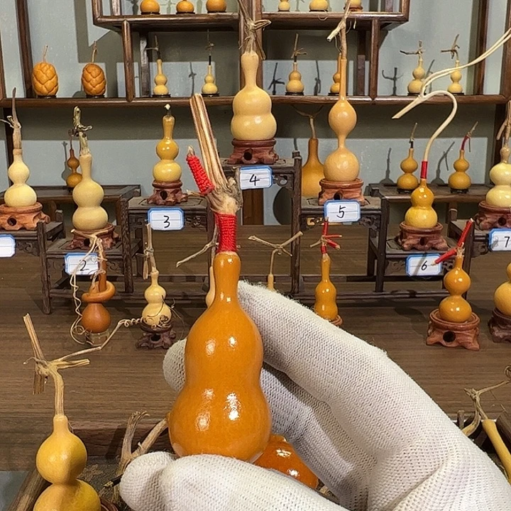 尹***疯蚂蚁蚂蚁蚂蚁蚂蚁