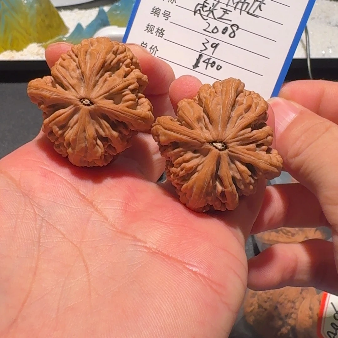 闪***达虎头王编号2008精品