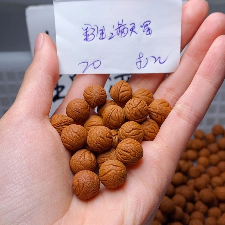 手串桃核12mm左右野生满天星20颗（打孔）