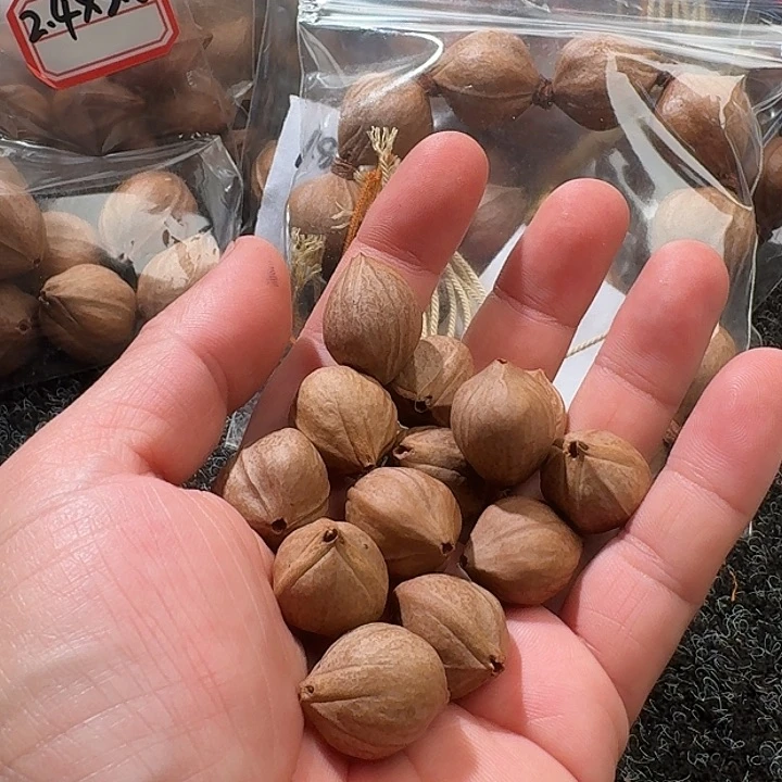 吊坠橄榄核歡1.8❌2.2