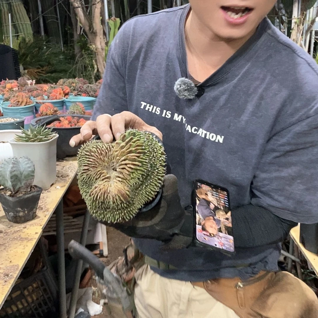 40号。 选手。