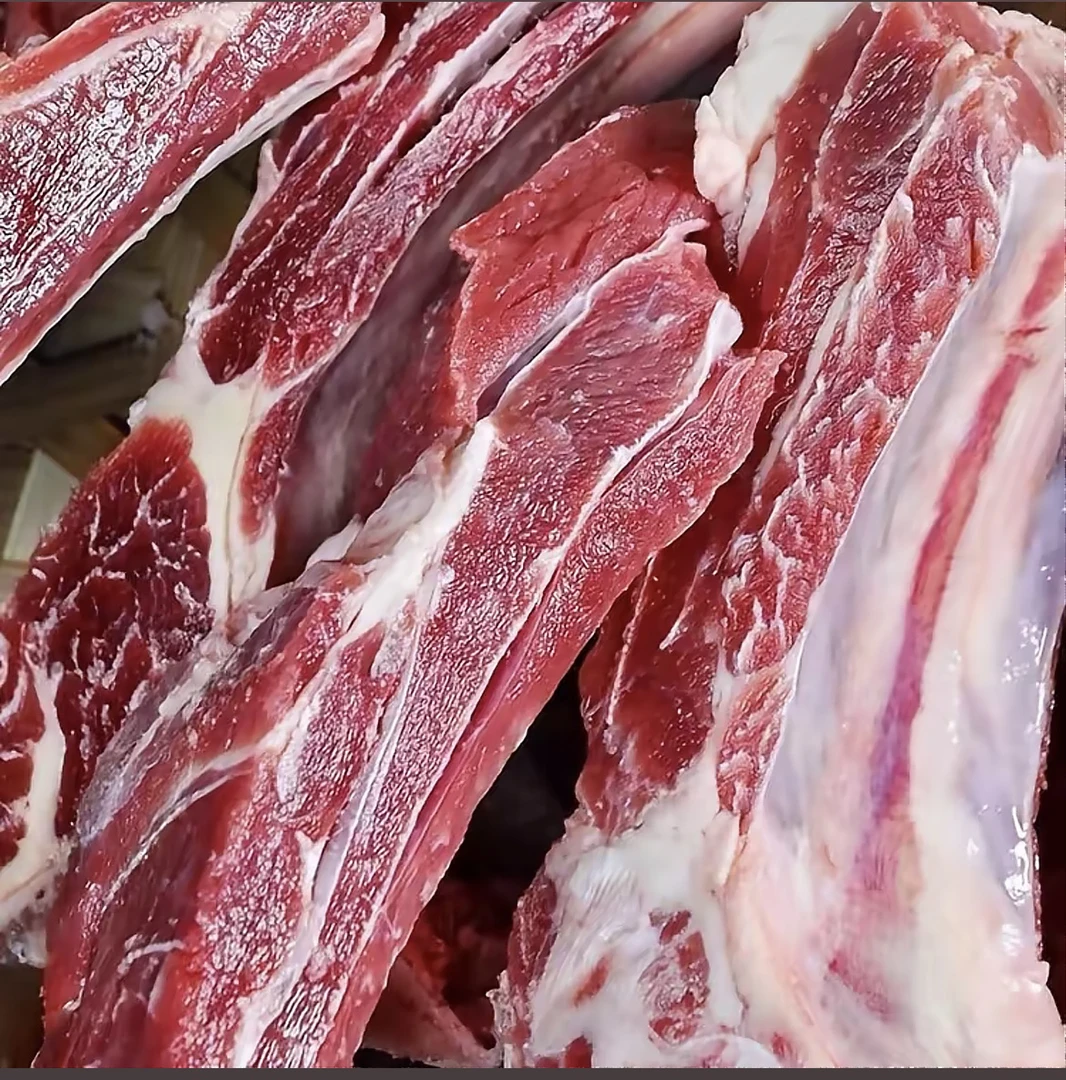 精选新疆土牛新鲜原切牛排火锅食材享受美味不同部位3斤产地直发
