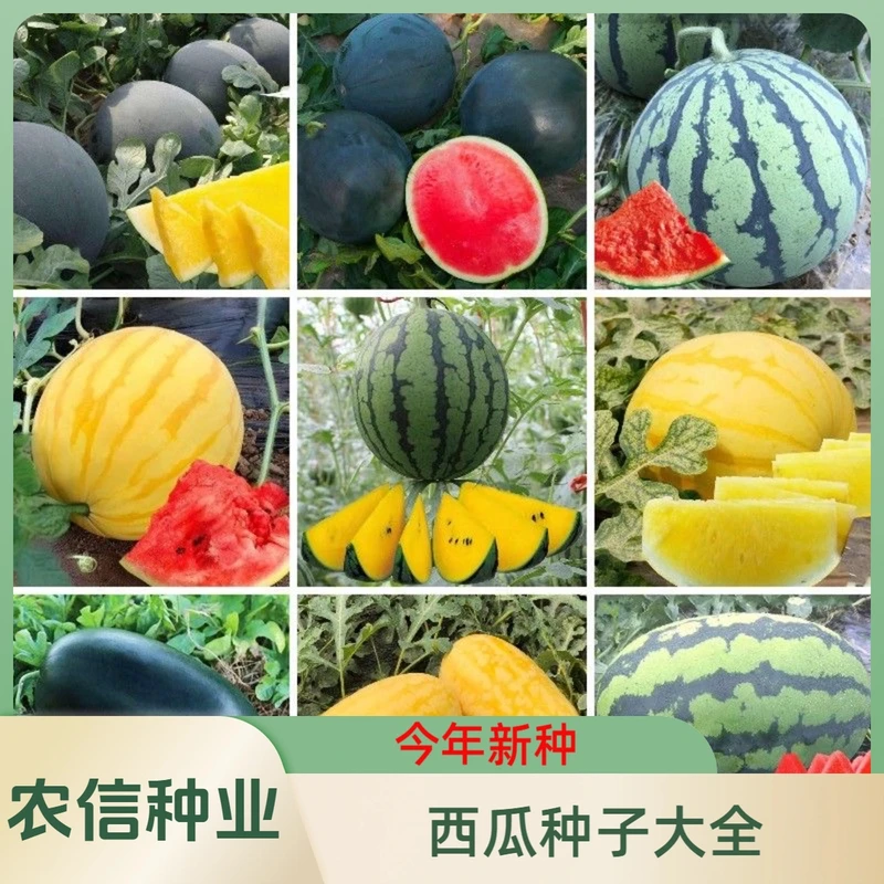 【满5元包邮】西瓜大全种子早熟易种植春天播种少籽多汁清甜西瓜