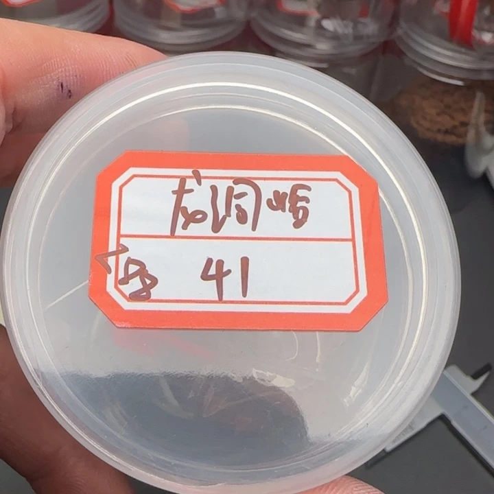 文玩核桃吊坠梅**饼