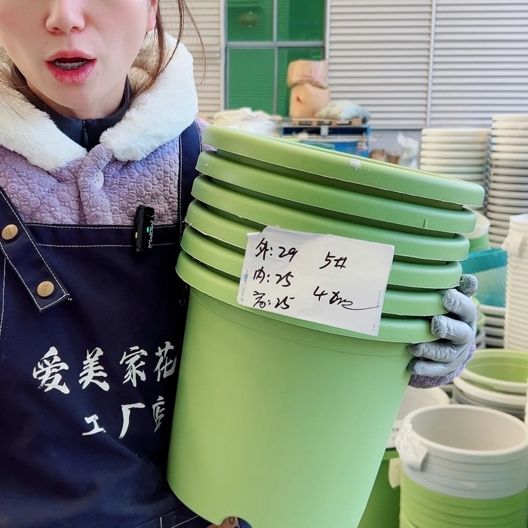 四季盆5#果绿6个无托