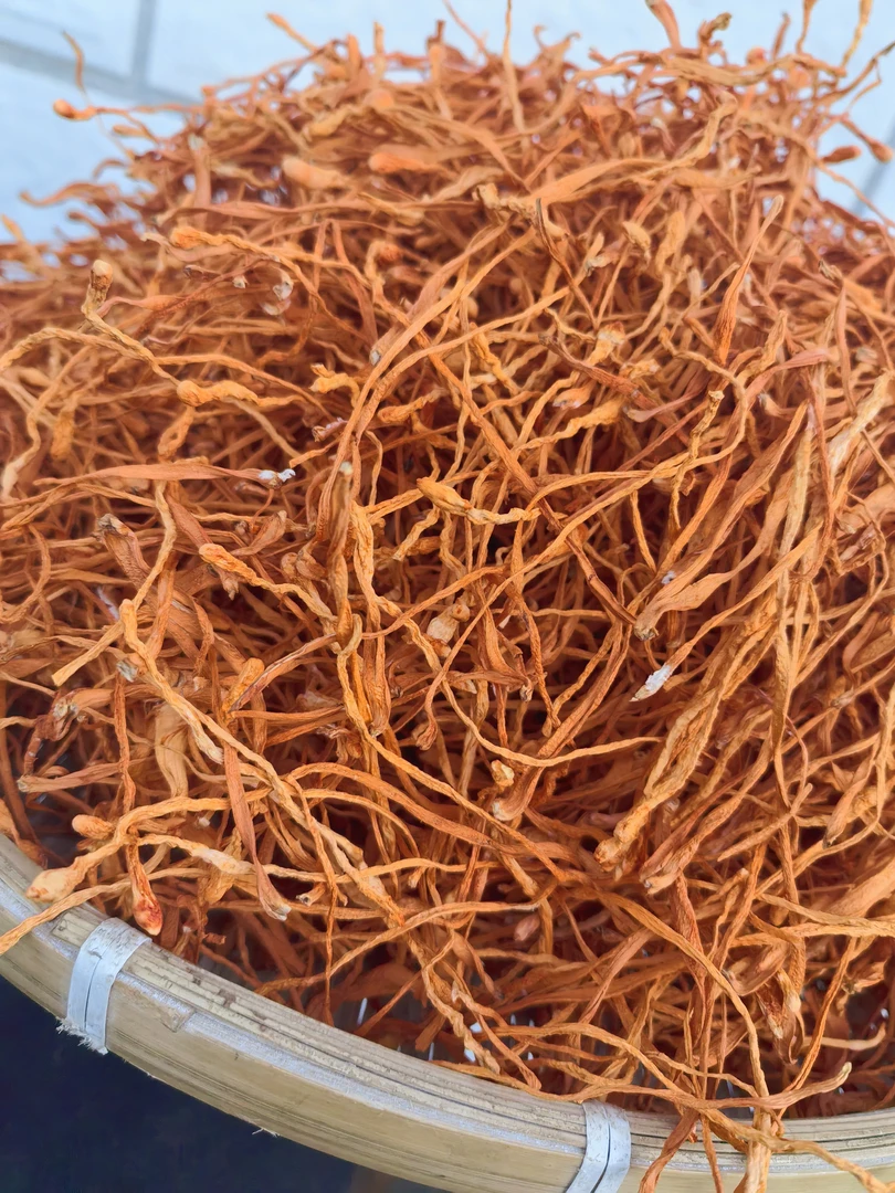 云南高原山货 虫草花 菇卤蛋甄选