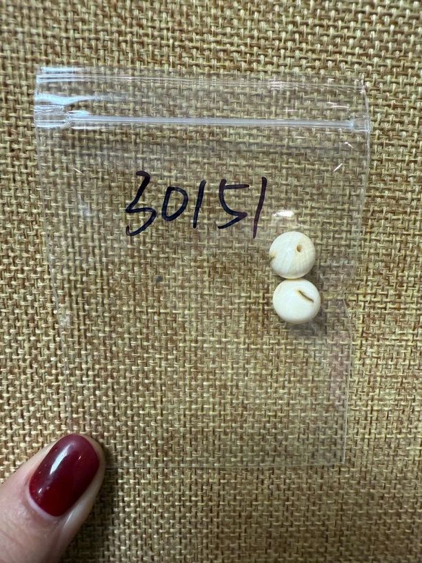 30151亚齐猛犸圆珠对珠配饰