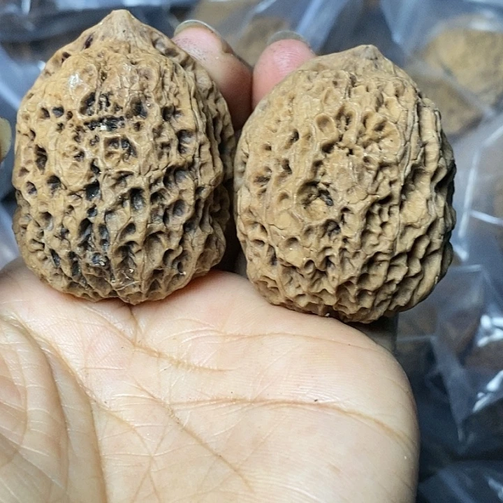 把件文玩核桃云南铁核桃78