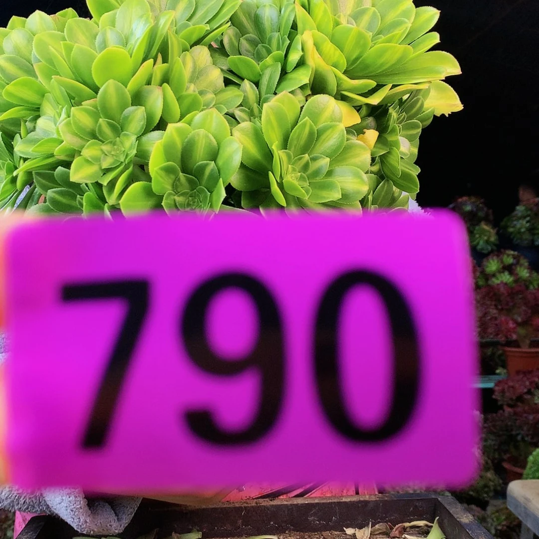 sssssssssssssssssssssss790