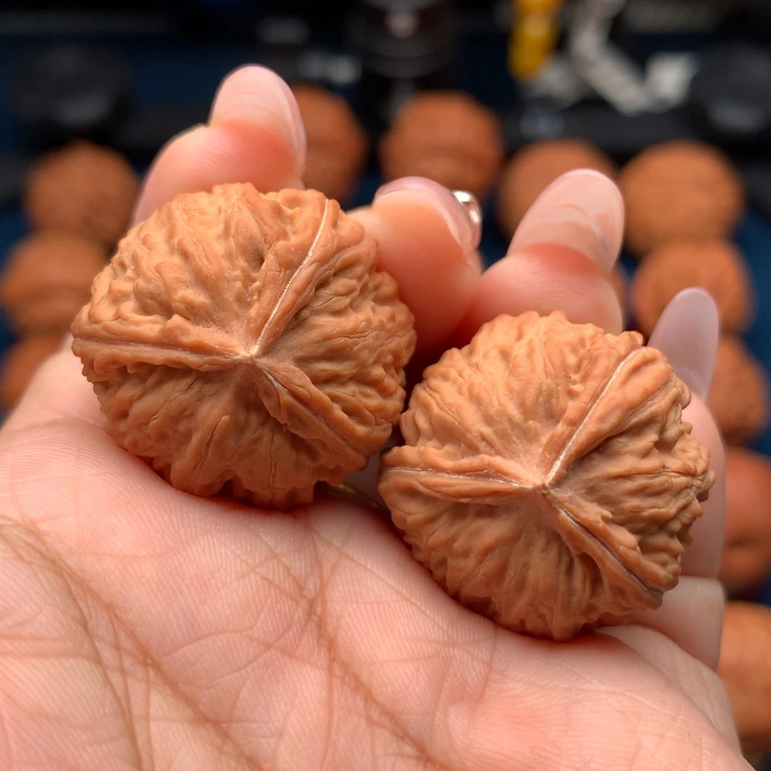 把件文玩核桃蚂蚁三棱