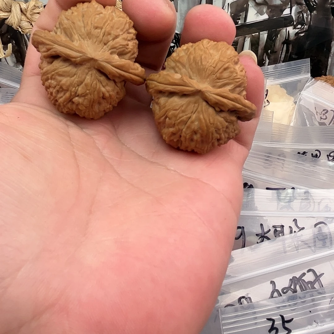 把件文玩核桃白狮子40尺