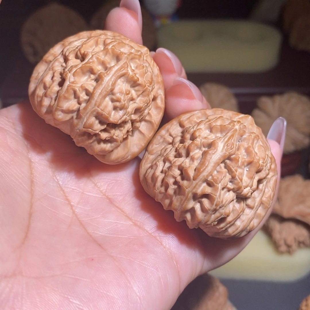 核桃全品老款白狮子40