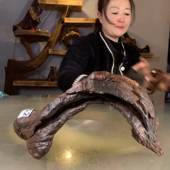 达***运天然的云南紫柚木会黄水