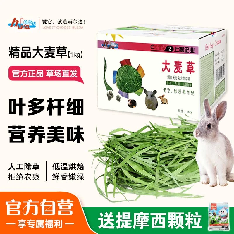 赫尔达大麦草兔子大麦草龙猫营养草荷兰猪烘干大麦草豚鼠牧草