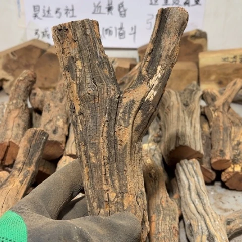 大果紫檀（缅甸花梨）淡**尘